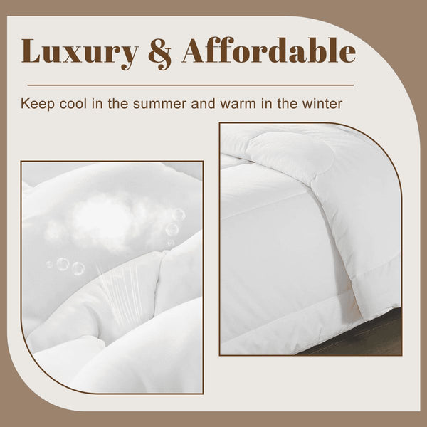 guitos Luna Midnight Starry Moon Gecko Twin Comforter Set with Pillowcase