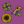 guitos™ Sol Checkered Rainbow Swirl Gecko Sunflower Kids Elementary Middle School Backpack Bookbag (Purple/Yellow)
