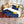 guitos Luna Midnight Starry Moon Gecko Twin Comforter Set with Pillowcase